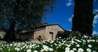 Montegonfoli 4, Ferienwohnung für 4 Erwachsene Blick auf San Gimignano und die Hügel der Toskana