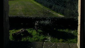 A view through a window of a vineyard with rows of grapevines, a stone wall, and a clear blue sky. - MONTEGONFOLI 2 Apartment in countryside of San Gimignano with amazing views 4+2 (san gimignano)
