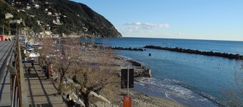 DESIGN och massor av ljus nära havet