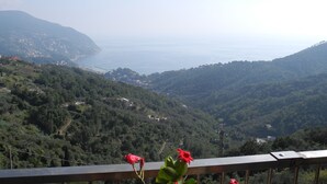 Un paysage côtier offrant une vue sur la mer et les collines.