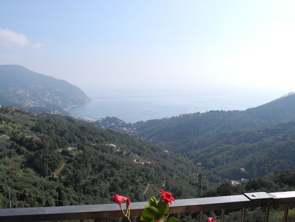 A coastal landscape with a view of the sea and hills.