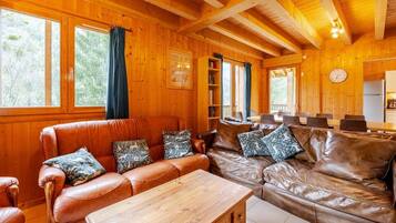 Smart TV, fireplace, DVD player, books