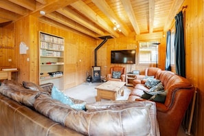 TV connectée, cheminée, lecteur de DVD, livres