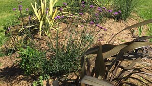 A modern house with a sloped roof, a well-maintained lawn, and a variety of flowering plants. - Wooden house, close to beaches and dunes (Landéda)