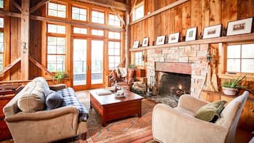 TV connectée, cheminée, lecteur de DVD, livres