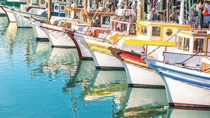 A marina with various boats docked. - WorldMark San Francisco (San Francisco)