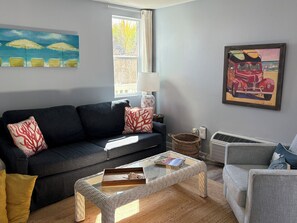 Flat-screen TV, DVD player, books, video library