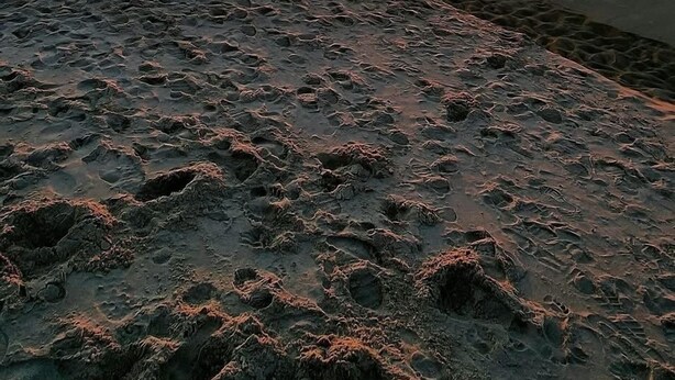 Una playa con huellas que conducen al agua, un atardecer de fondo y algunas personas a lo lejos.