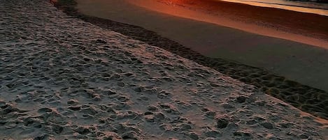 On the beach, sun-loungers