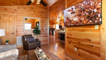 Flat-screen TV, Netflix, DVD player, streaming services