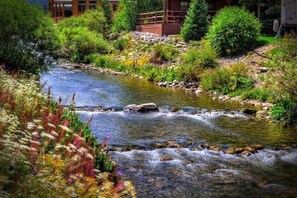 A river flowing through a landscaped area with rocks and various plants.