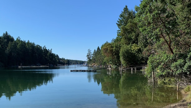 Blick auf einen See mit zwei Stühlen, die zum Wasser hinweisen, umgeben von Bäumen und wolkenlosem Himmel.