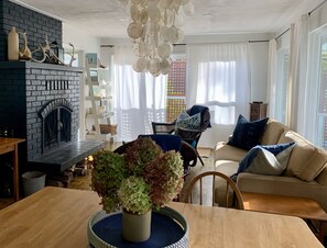 Televisión, chimenea, reproductor de DVD y libros