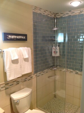 Combined shower/bathtub, hair dryer, towels, toilet paper - Fun N' Sun Condo at Del Mar Beach Club - FULL HOUSE AC and HEATING  (Solana Beach)