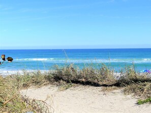 Playa en los alrededores, camastros y toallas de playa 