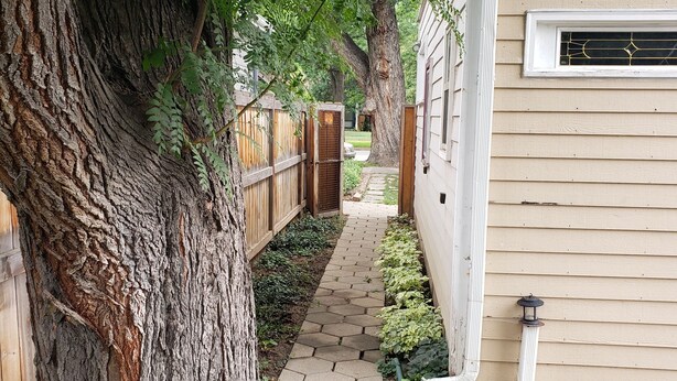 A narrow pathway leading to a house with a large tree on one side. - Finely Crafted Studio Apartment In The Heart Of Old Town (Fort Collins)