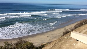 Una playa con olas, una orilla arenosa y vegetación escasa.