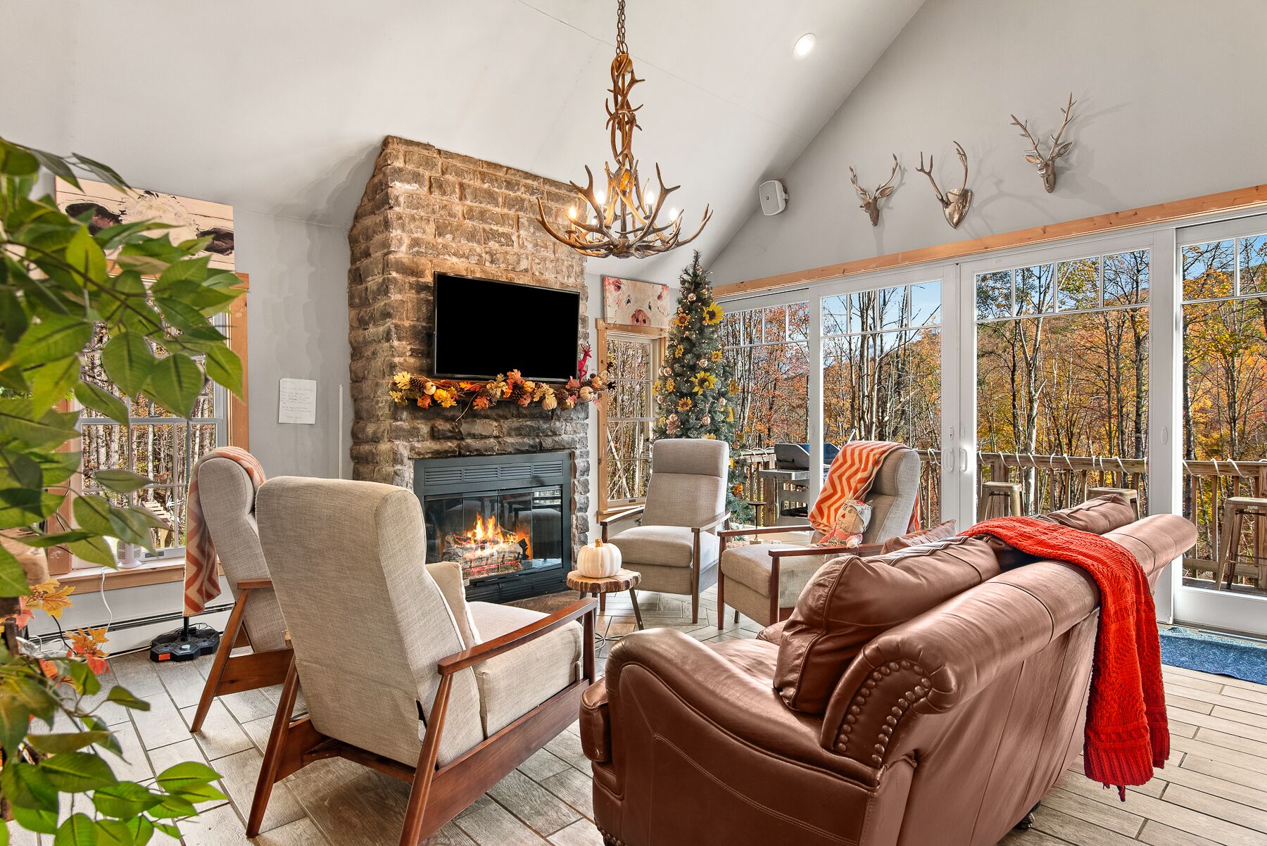 TV connectée, cheminée, livres