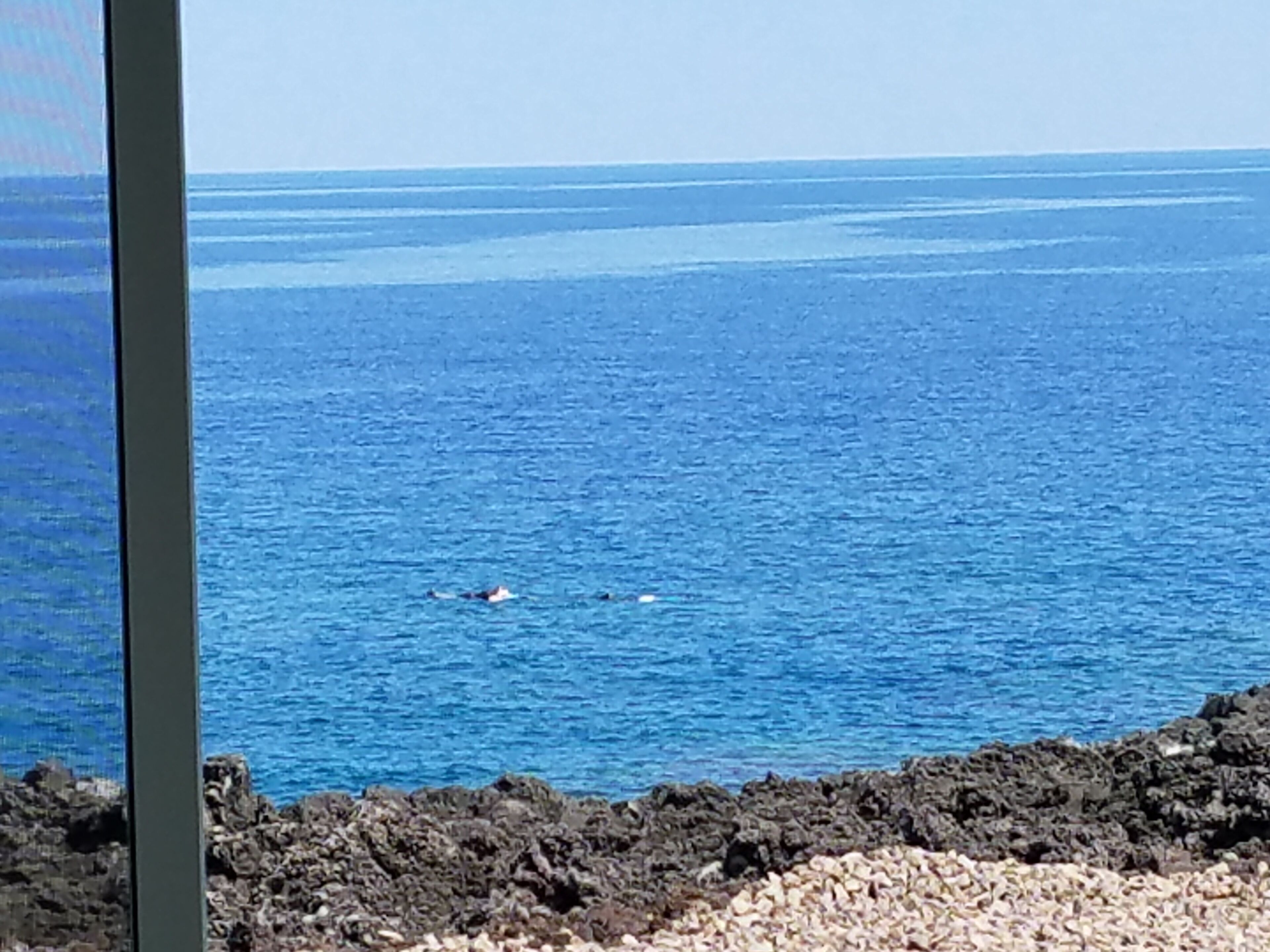 Vista costera con cielo despejado, costa rocosa y mar tranquilo.