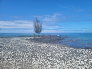 A rocky beach with a single tree and calm sea. - Absolute Ocean Front Home at Sea Level Hale Hokulani "House of the Heavenly Star (Captain Cook)