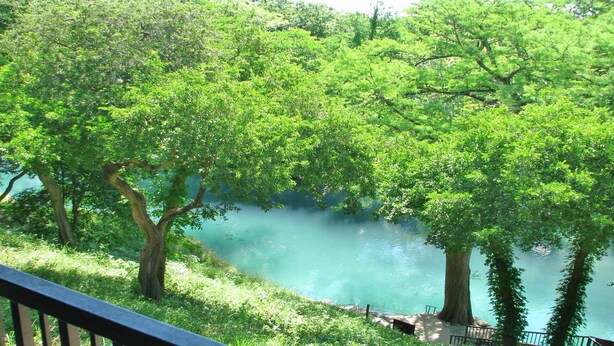 Un río de aguas cristalinas rodeado de frondosos árboles verdes.