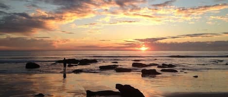 Beach nearby, sun-loungers, beach towels