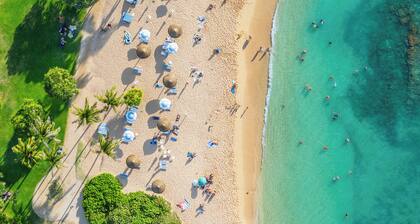 Turtle Bay Ocean View & Beachfront Beach Level 3 Makuuhuone 110!