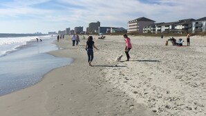 Una spiaggia con persone che passeggiano, un cane e edifici sullo sfondo.