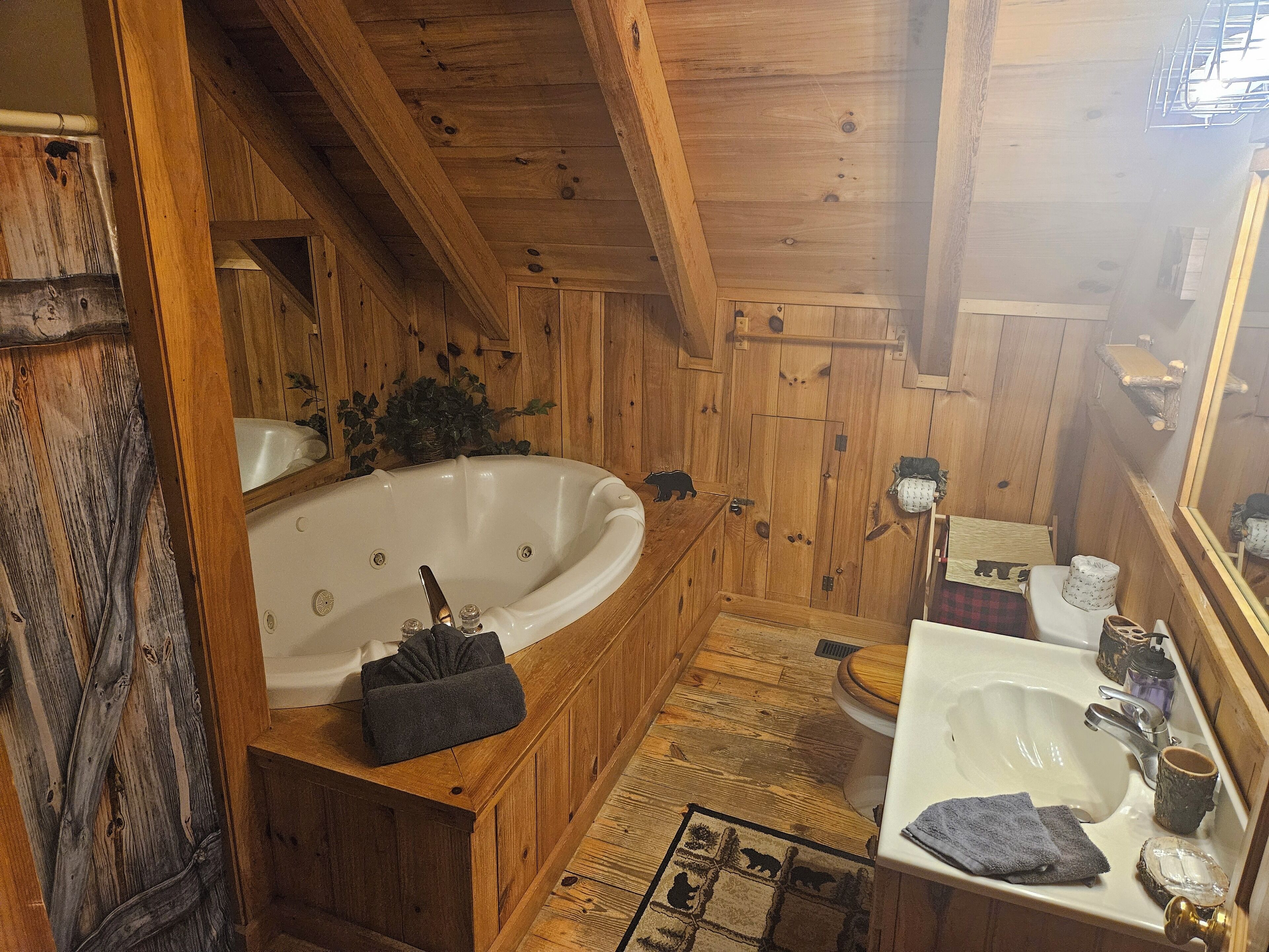 Ducha, bañera de hidromasaje, secador de pelo, toallas