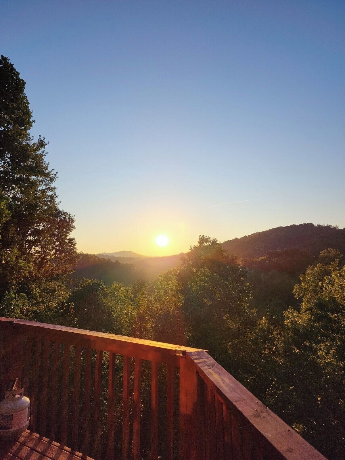 Imagen de perfil del propietario o de la propietaria