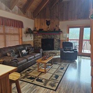 Smart TV, fireplace, DVD player, books