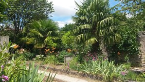 A garden with various plants and flowers, a stone wall, and a pathway.