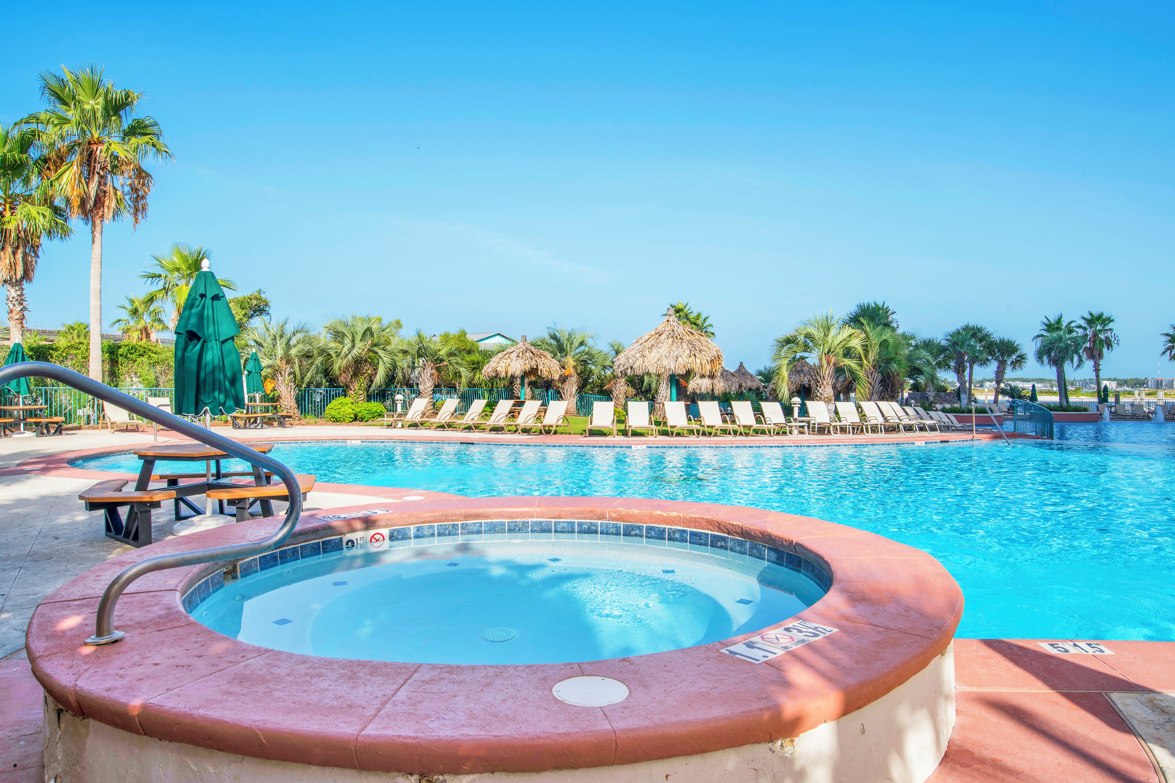 A swimming pool with lounge chairs, a hot tub, and palm trees.