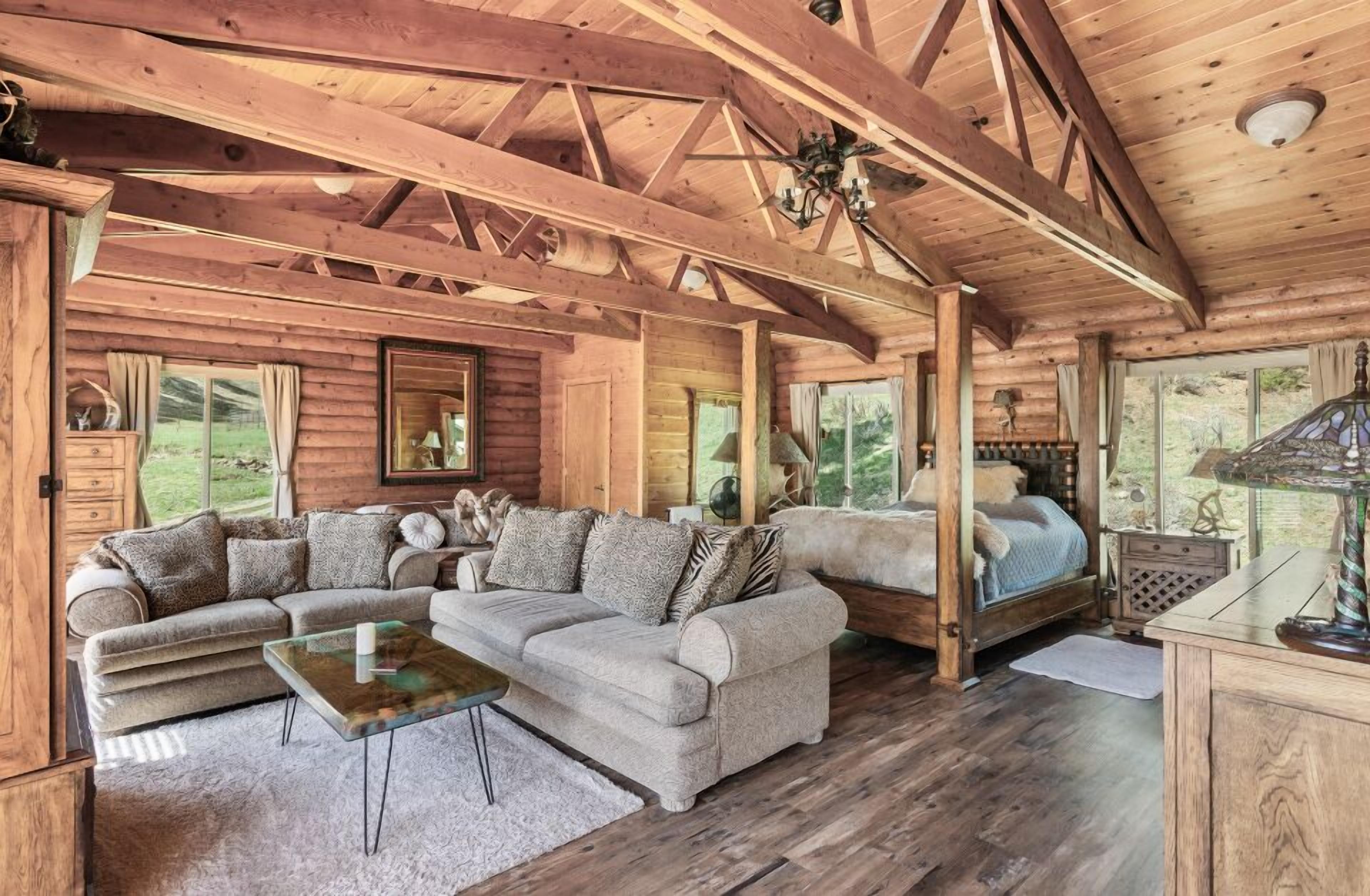 智能電視、壁爐、DVD 播放機、書籍