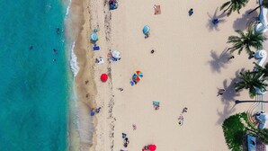 An aerial view of a beach with people, umbrellas, and palm trees.