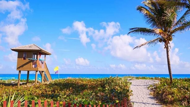 A wooden lifeguard tower on a beach with a clear sky and a palm tree.