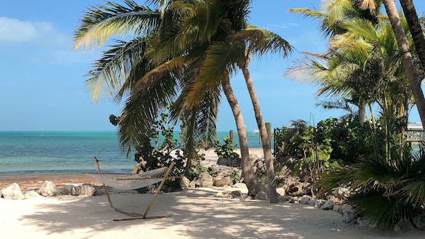 A beach with palm trees, a hammock, and lounge chairs. - Sunset Catch- Gulf Front, Open Water Views, Private Pool and Dock, Kayaks. (Marathon)