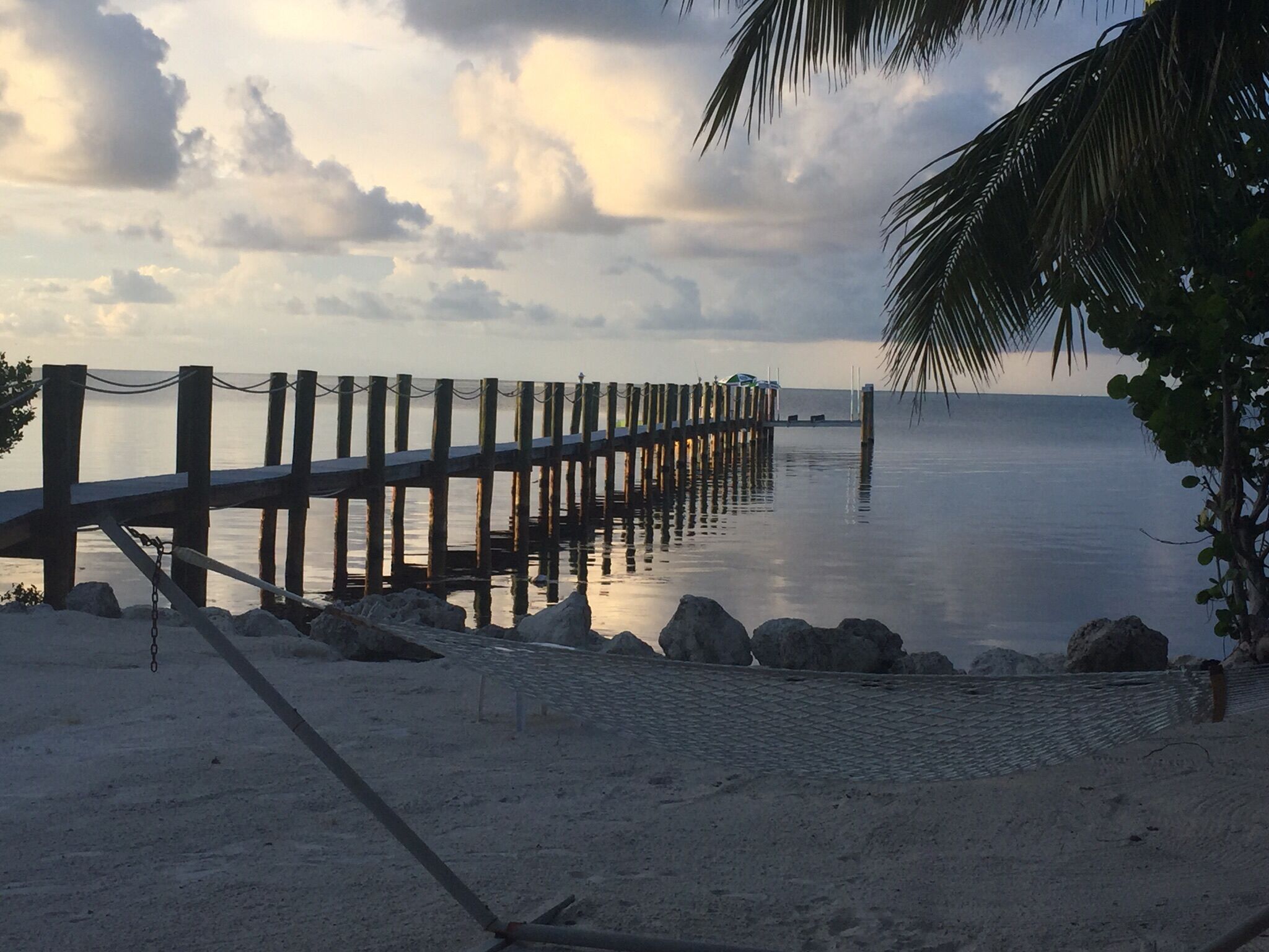 A wooden pier extending into calm waters, surrounded by rocks and a palm tree.