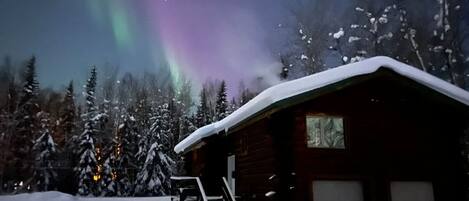 Eine Hütte mit schneebedecktem Dach, umgeben von schneebedeckten Bäumen, unter einem Nachthimmel mit Polarlichtern.
