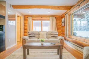Smart TV, fireplace, books