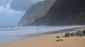 Uma praia com costa rochosa e falésias ao fundo.