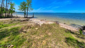 Ein Strand mit Bäumen und freiem Blick auf das Wasser.