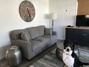 Una sala de estar con un sofá gris, un reloj de pared redondo, una lámpara, un televisor y un perro.