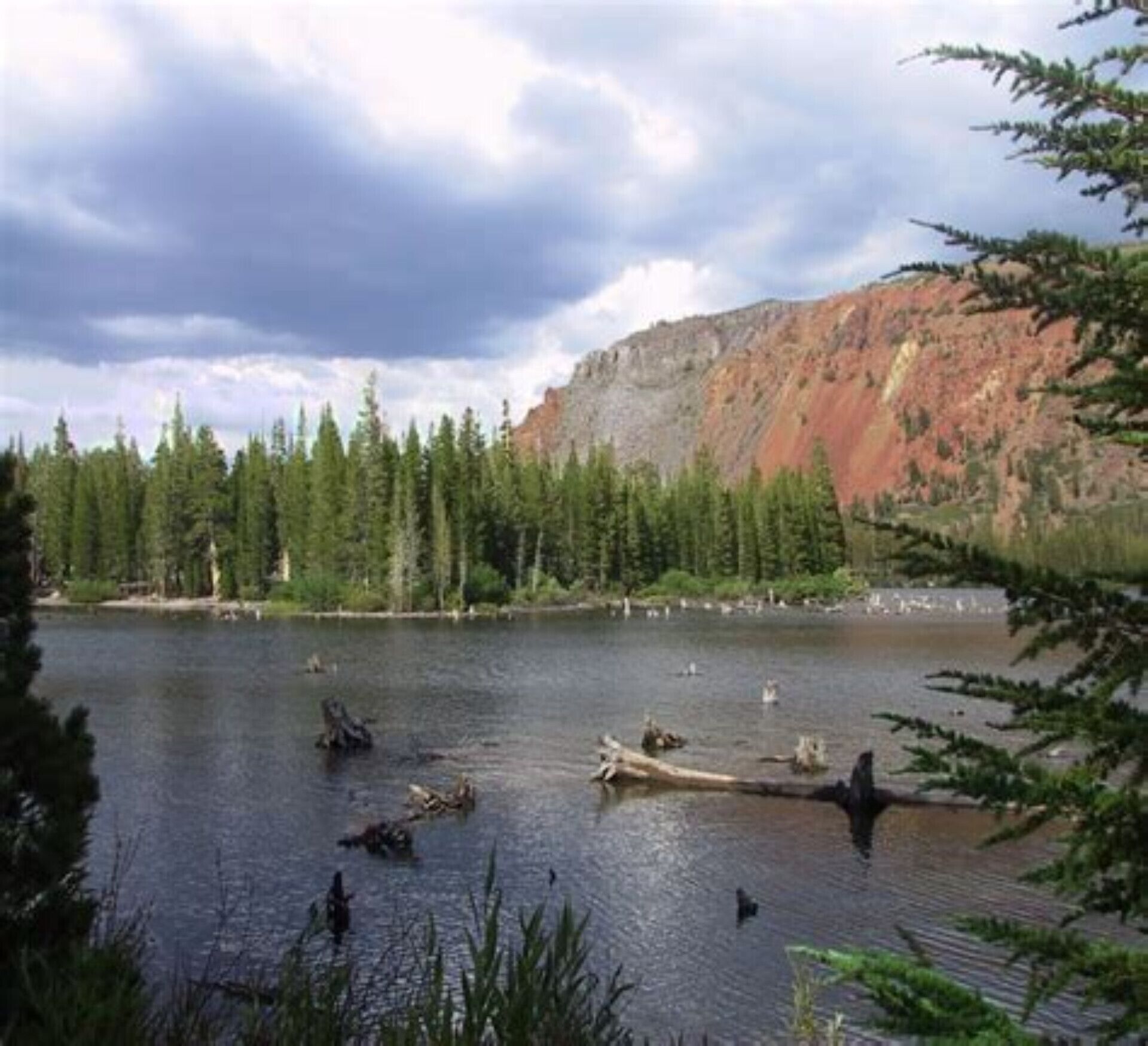 A lake surrounded by dense forest and a rocky mountain.