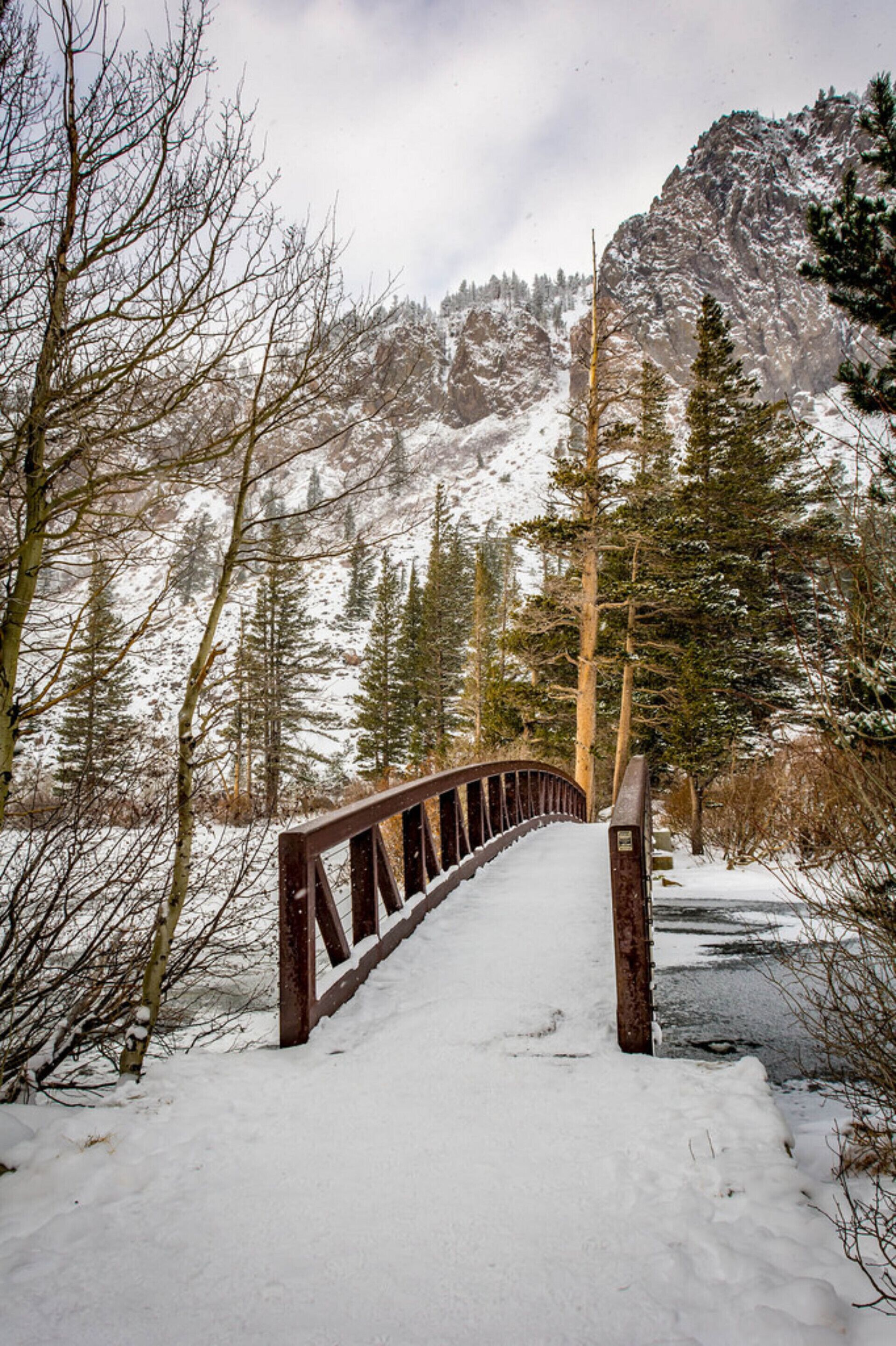 A snow-covered wooden bridge in a forested area with mountains in the background.