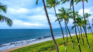 A beach with palm trees and the ocean. - Remodeled Quiet Oceanfront Corner Unit on 3rd Floor at Sugar Beach Resort (Kihei)