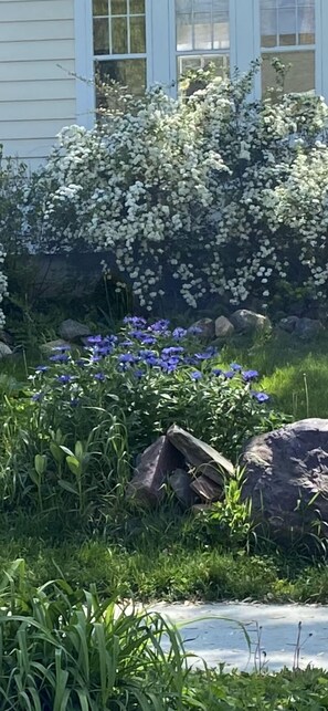 Exterior detail - Beautifully renovated Carriage House apt within a tree-house like setting.  (Burlington)