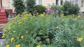 DĂ©tail de lâextĂ©rieur