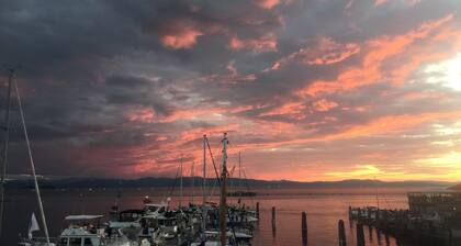 Beautifully renovated Carriage House apt within a tree-house like setting.