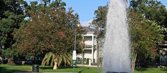 Garden District Condo - Steps to Magazine and St. Charles - Off street parking